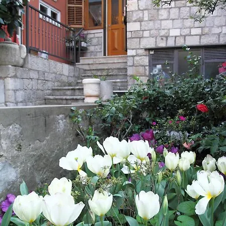 House Fascination